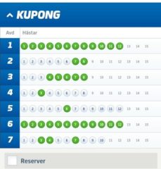 V75-Andelar (6/7), 200:-/Andel med Systemförslag