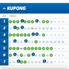 V75-Andelar (8//7), 350:-/Andel med Systemförslag