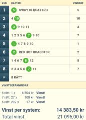 Ny V86-Vinst: Dags igen under torsdagen V64?