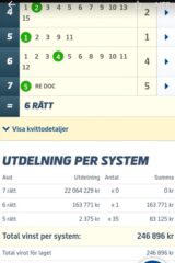 Andelar till V75:  Är det dags för näst Storvinst på V75?